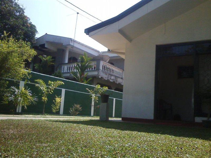 نيجومبو Mazz Homestay المظهر الخارجي الصورة