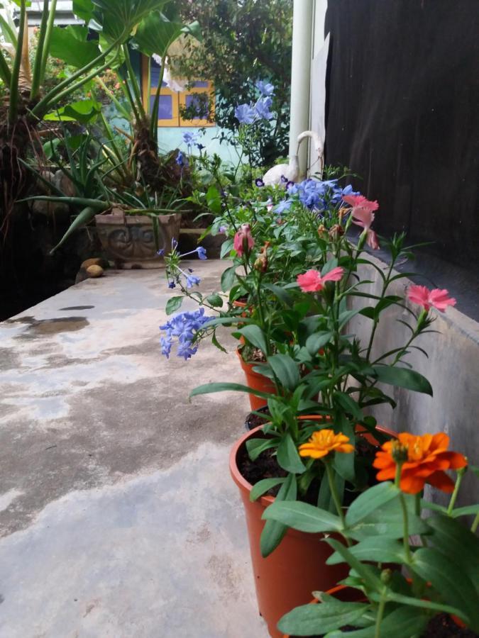 نيجومبو Mazz Homestay المظهر الخارجي الصورة