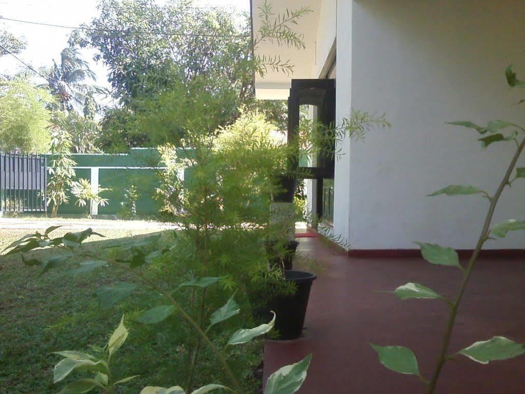 نيجومبو Mazz Homestay المظهر الخارجي الصورة