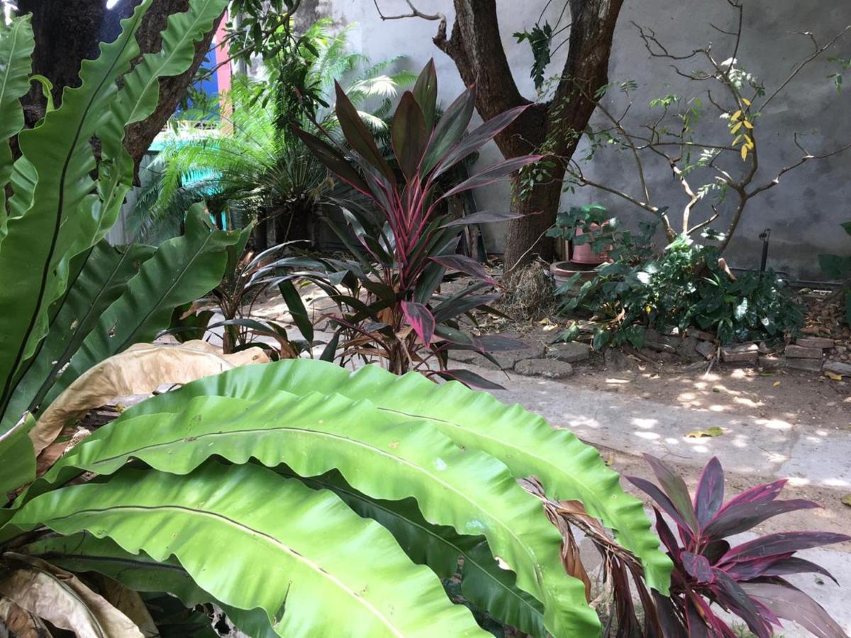 نيجومبو Mazz Homestay المظهر الخارجي الصورة
