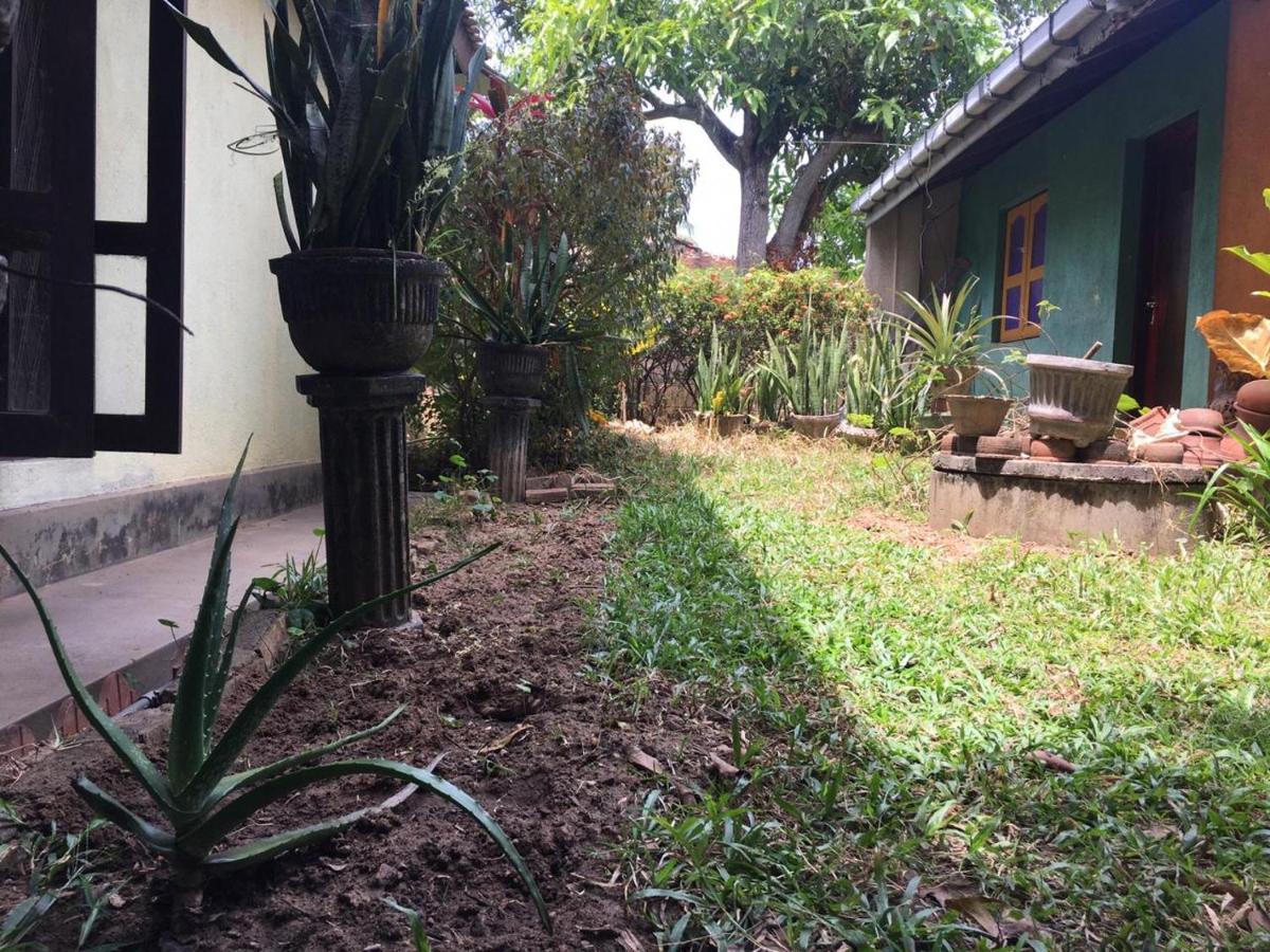 نيجومبو Mazz Homestay المظهر الخارجي الصورة